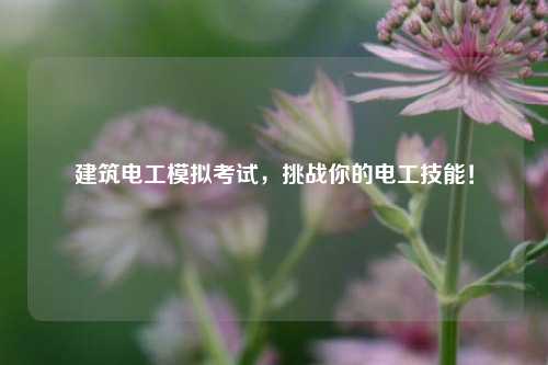 建筑電工模擬考試，挑戰(zhàn)你的電工技能！-圖1