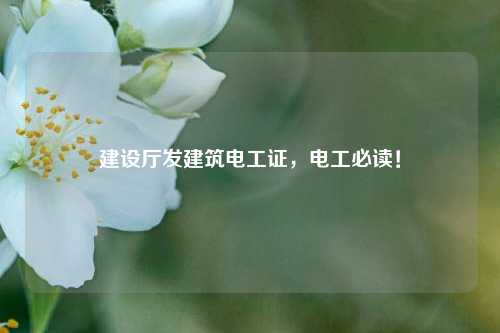 建設(shè)廳發(fā)建筑電工證，電工必讀！-圖1