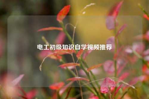 電工初級(jí)知識(shí)自學(xué)視頻推薦-圖1