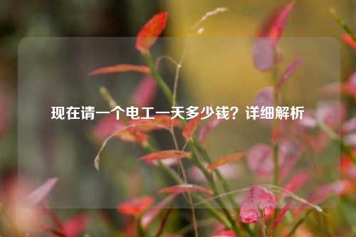 現在請一個電工一天多少錢？詳細解析-圖1