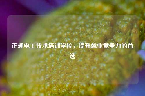 正規(guī)電工技術培訓學校，提升就業(yè)競爭力的首選-圖1