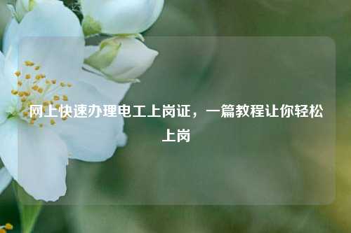 網(wǎng)上快速辦理電工上崗證，一篇教程讓你輕松上崗-圖1