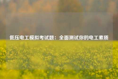 低壓電工模擬考試題：全面測(cè)試你的電工素質(zhì)-圖1