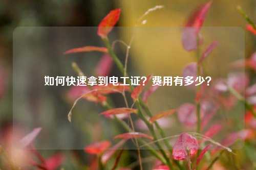 如何快速拿到電工證？費(fèi)用有多少？-圖1