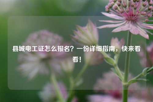 縣城電工證怎么報名？一份詳細指南，快來看看！-圖1