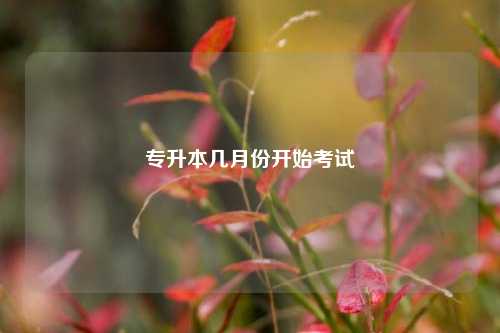 距離2025專升本還有多少時間-圖1